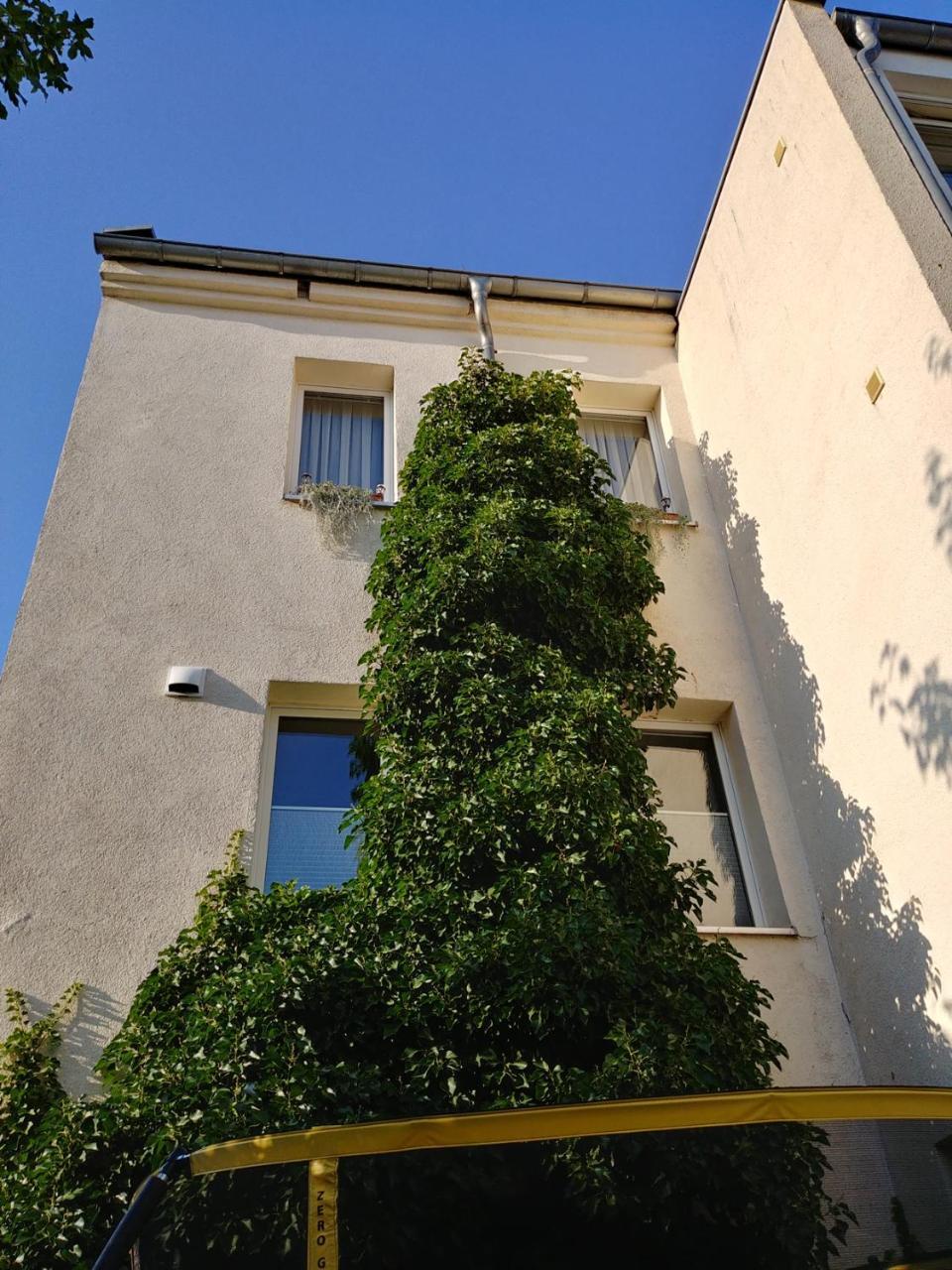 Gapart - Apartments Mit Kueche Leipzig Eksteriør billede